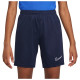 Nike Παιδικό σορτς Dri-FIT Academy